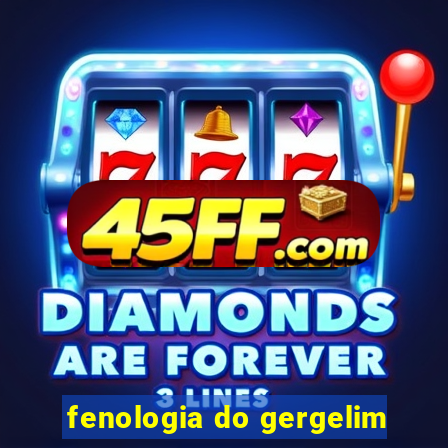 fenologia do gergelim